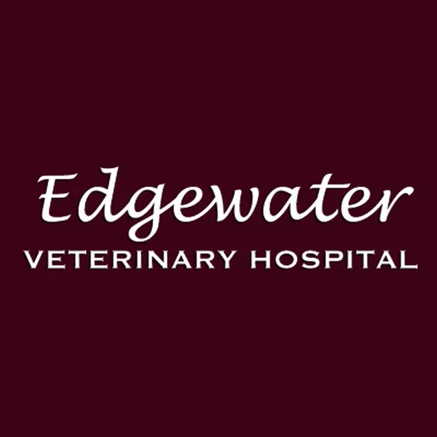 Edgewater Veterinary Hospital, Mississippi, Biloxi